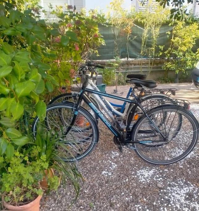 Just Outside The Wall: Free A/C, Bikes And Wifi Lucca Exterior foto